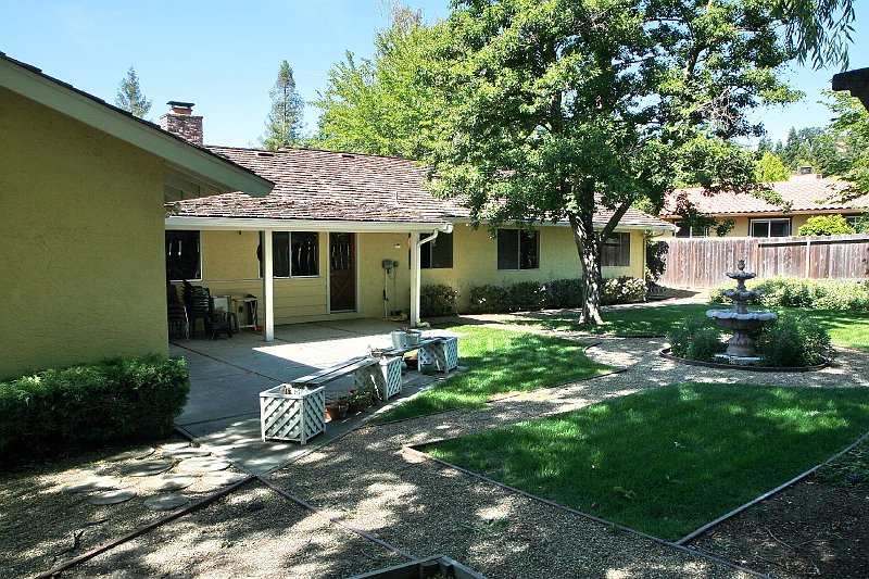 Back Yard 2.jpg